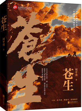 正版包邮 苍生 描写乡村巨变的主旋律读物 乡土文学解读新时代民生问题 小人物折射大时代 红色书籍党政读物中国文学长篇小说