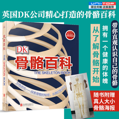 DK骨骼百科赠真人大小骨骼海报