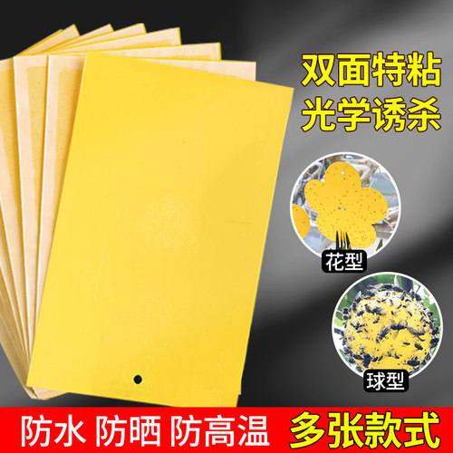 粘虫板阳台盆栽果蝇大棚