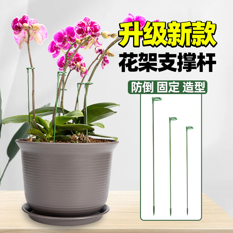 支撑杆花架防倒伏植物支架