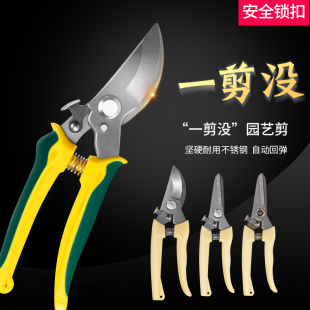 剪刀修枝剪花艺园艺强力粗枝果树园林工具摘果葡萄疏果专用神器