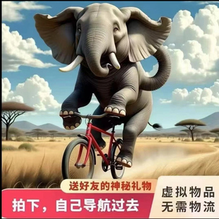 0.99元领养野生大象｜会撒娇会赶路，从南非出发的浪漫盲盒