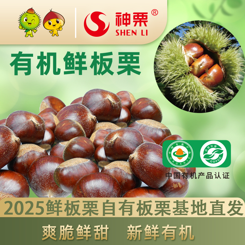 神栗 新鲜有机生板栗燕山宽城5斤装产地直发带壳板栗河北承德宽城