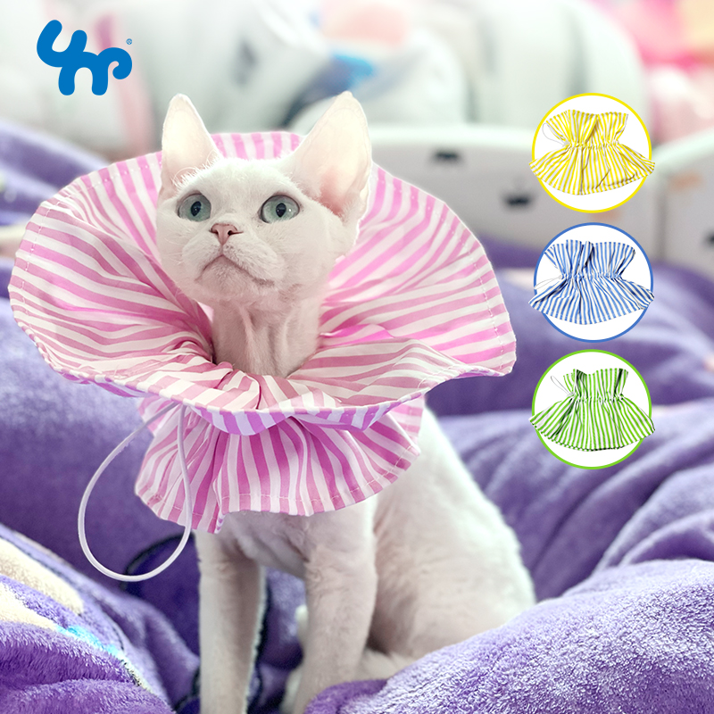 猫咪伊丽莎白圈耻辱保护圈宝眷