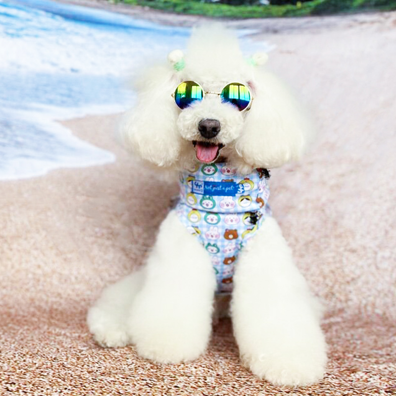 宝眷狗狗降温围脖宠物配饰小狗夏季降温衣柯基雪纳瑞泰迪柴犬斗牛