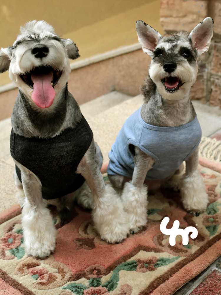 宝眷宠物狗狗衣服 三色可选简约背心 薄款棉质上衣透气舒适四季装