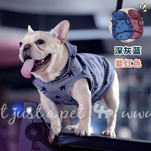比熊条纹运动风背心宠物狗狗
