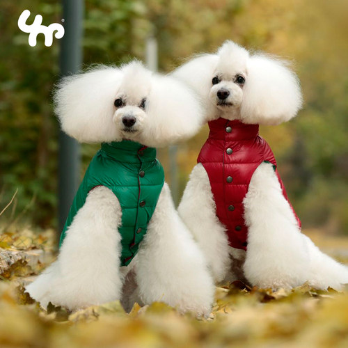 宝眷雪纳瑞小型拉布拉多狗狗衣服