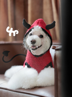 Unpet宝眷新款秋冬保暖手工泰迪比熊宠物毛衣猫咪狗帽衫网红衣服