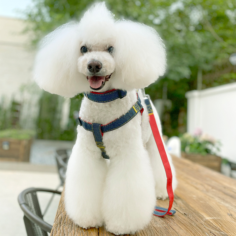 unpet宝眷夏天肩带背式牵引绳