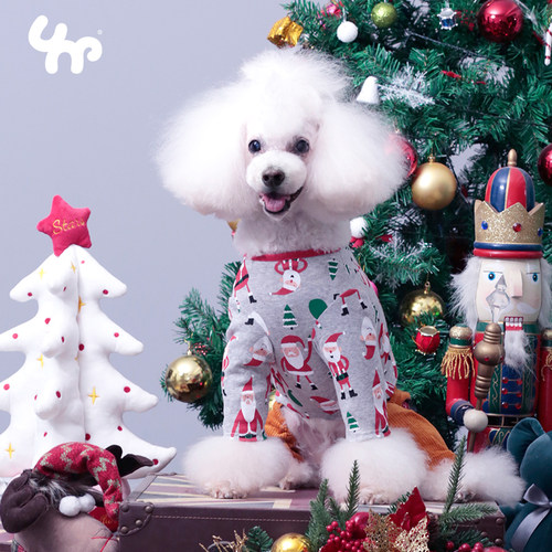 宝眷中小型犬圣诞老人春秋款比熊