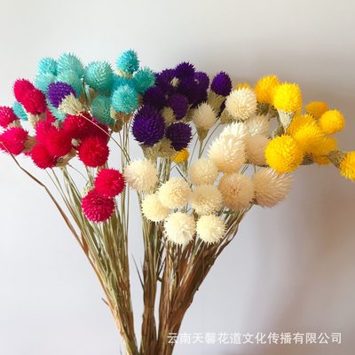 果】【干财永草莓束花生千干红日花真工手粘 合仿花花招花配干花