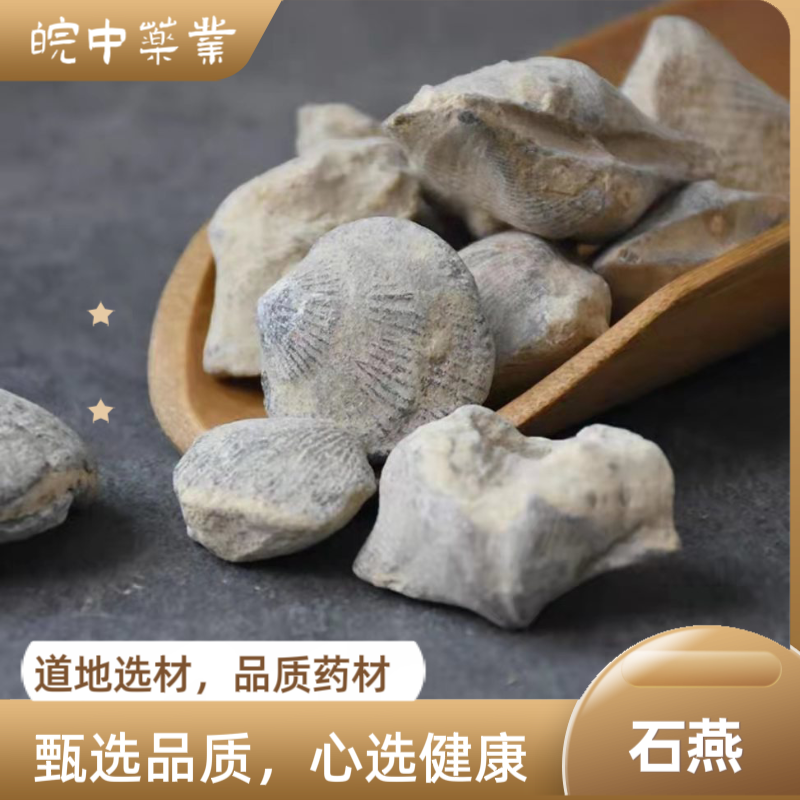 级品质中药材石燕子大石燕燕子石水飞燕矿石大全正品包邮