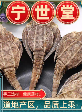 中药材海燕干正品海麻雀干 海燕子包邮干货煲汤泡酒滋补品