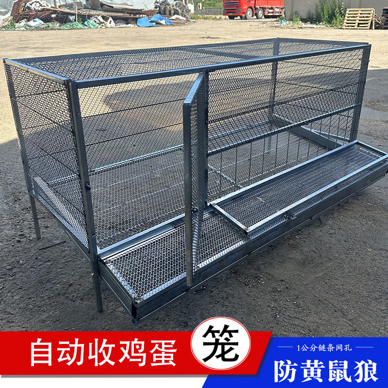全新升级自动出蛋鸡笼子可以探头喂食加密网孔防黄鼠狼养鸡鸭防蛇