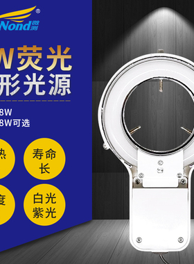 220V8W荧光环形灯源 显微镜环形灯管 白色荧光灯管 内径62mm 紫色环形荧光灯 柔和光 显微镜荧光灯