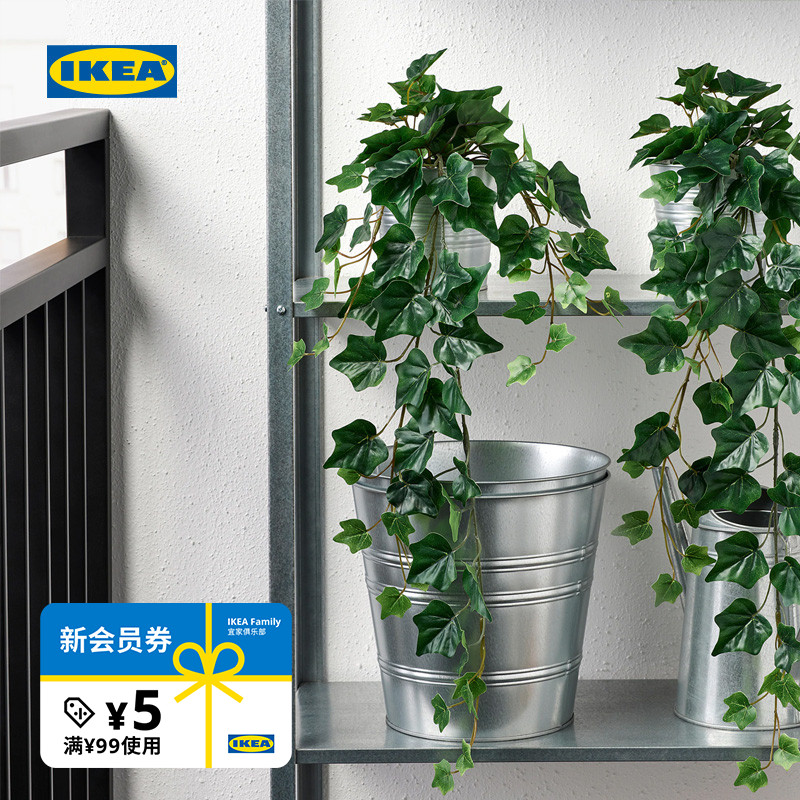 ikea宜家fejka菲卡常春藤盆栽