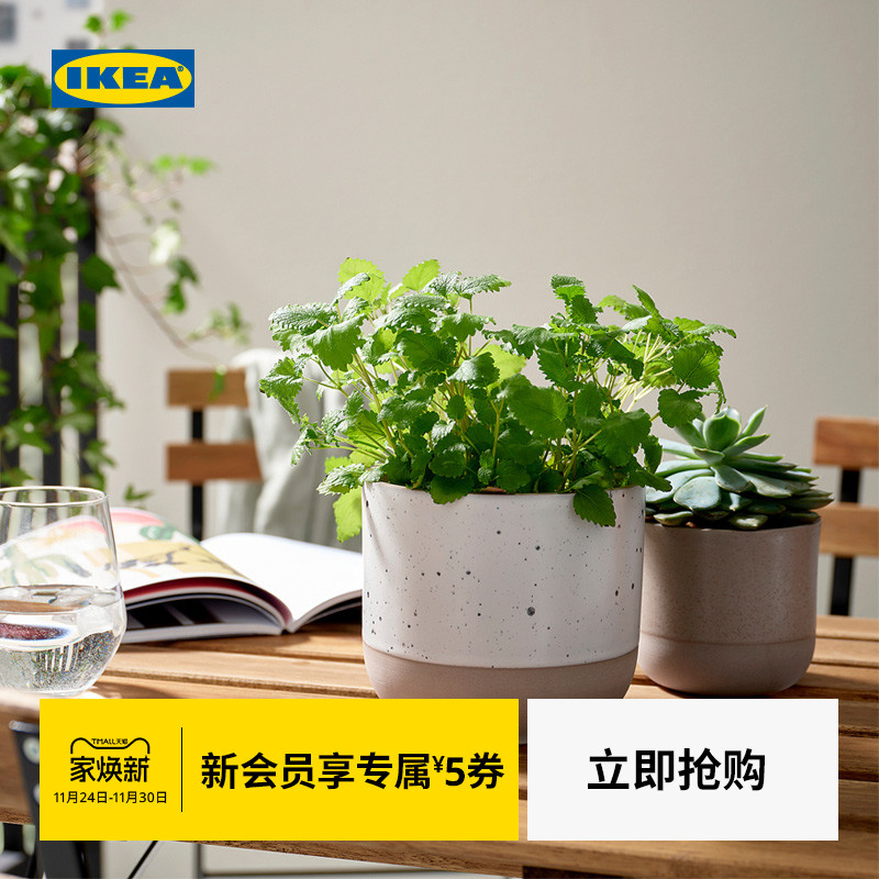 IKEA宜家布斯卡普里夫装饰花盆