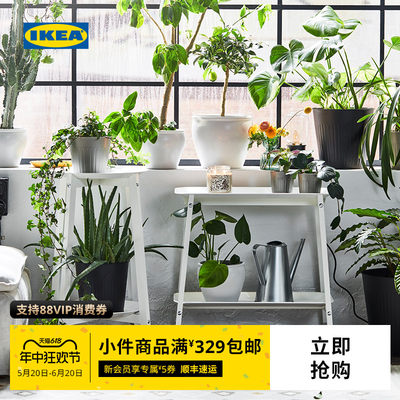 IKEA宜家艾普维植物架