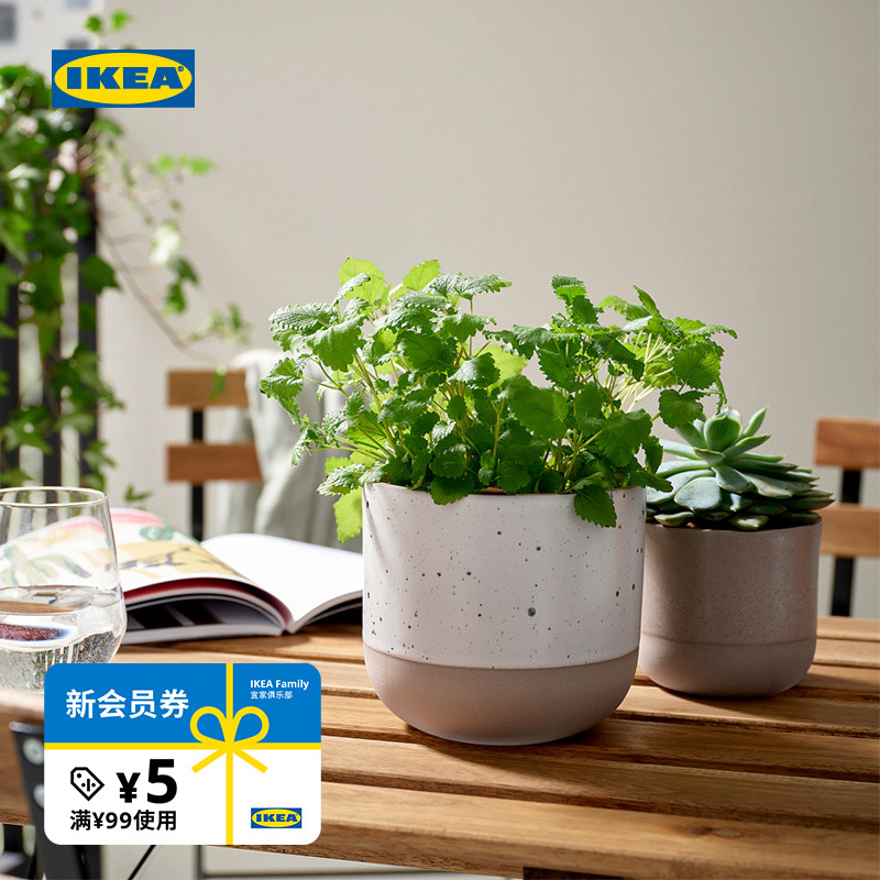 IKEA宜家布斯卡普里夫装饰花盆