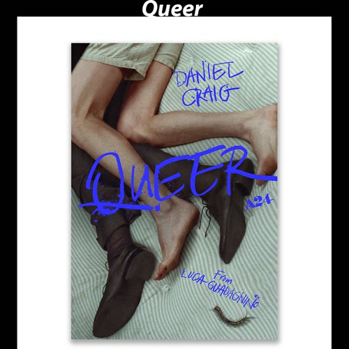 《Queer》酷儿同志电影海报/自制周边装饰画