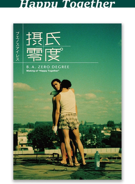 《摄氏零度·春光再现》电影纪录片海报/何保荣张国荣/春光乍泄