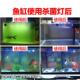 跨境鱼缸UV菌灯紫外线鱼池净水除藻潜水灭菌灯水族鱼缸杀菌消爆款