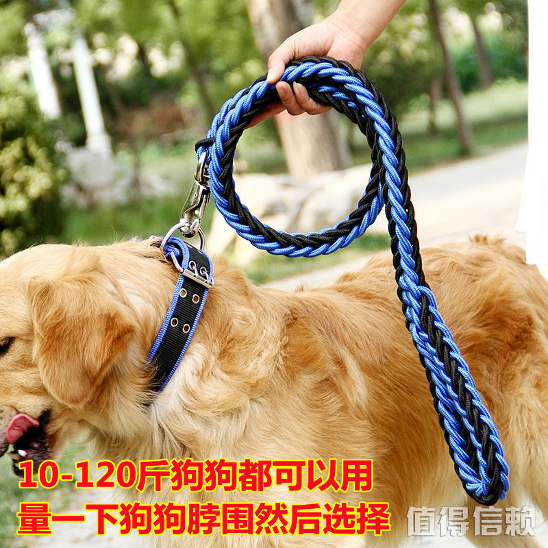大狗牵引绳项圈套装八股绳狗链子