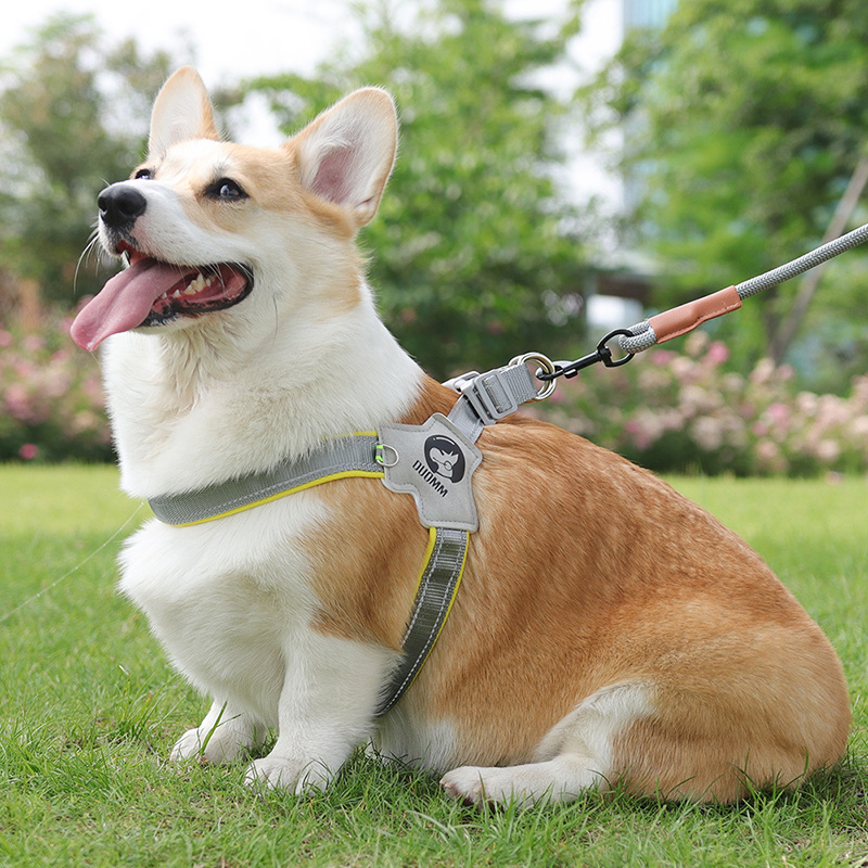 牵引绳背带一套更划算中小型犬