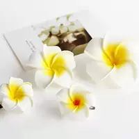 5 цветов яиц [большой]