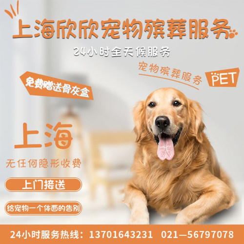 宠物火化价格 宠物火化图片 星期三