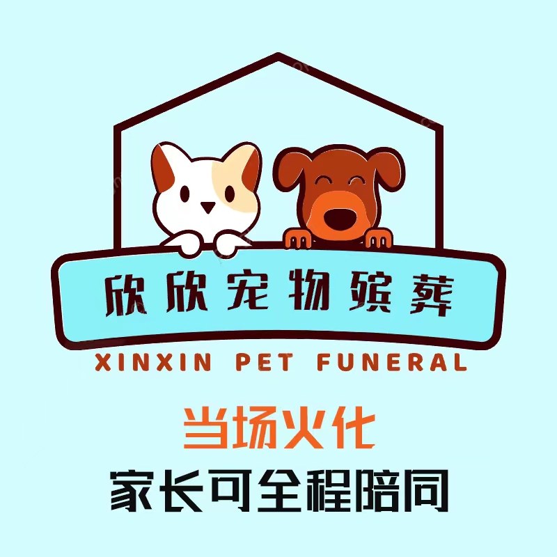 单独火化主人陪同家长亲临全程观看宠物殡葬火化安乐猫狗善后服务