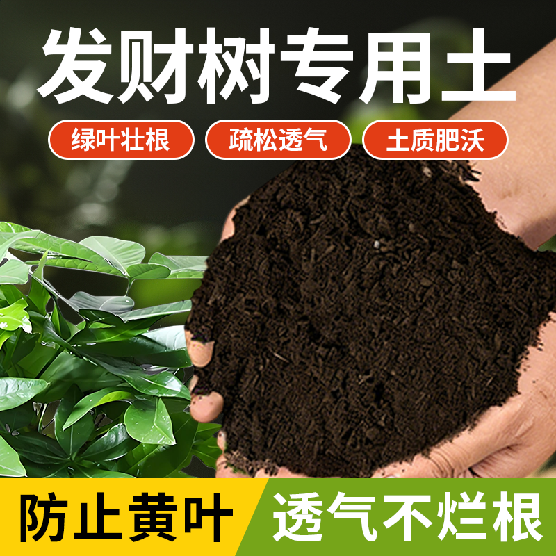 发财树专用营养土阳台种植家用蔬菜花卉通用种植土绿植有机土壤,鲜花速递/花卉仿真/绿植园艺,家庭园艺肥料,淘宝优惠券,粉丝福利购,淘宝优惠卷