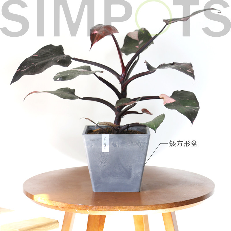 环保树脂北欧简约风不返碱花盆