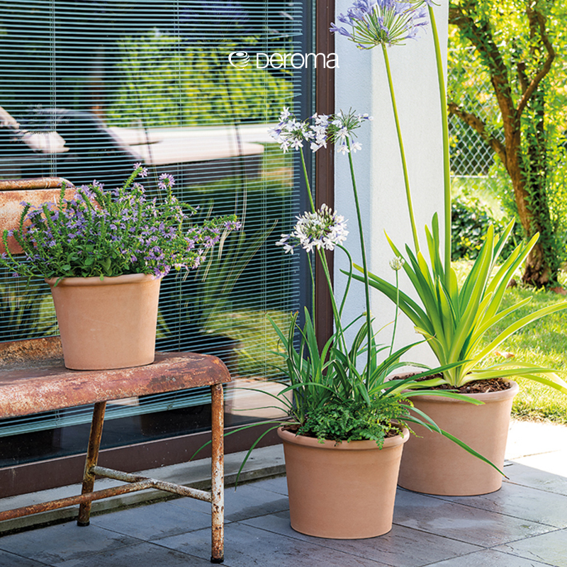 DEROMA帝罗马花盆红陶透气多肉陶盆粗陶盆特大迷你盆桌面阳台户外