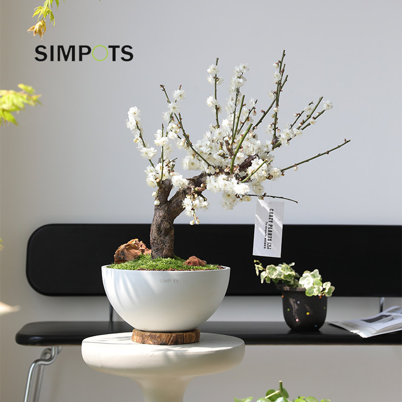 SIMPOTS森宝|环保树脂花盆简约块根兰花多肉绿植桌面客厅阳台抗晒