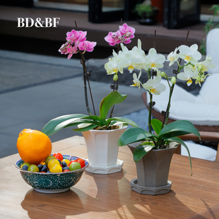 BD&BF 自由之门系列陶瓷花盆蝴蝶兰法式复古轻奢高级感粗陶小陶盆