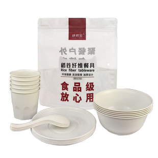 【当日发】一次性餐具饭碗家用套装十人份食品级户外碗筷酒席结婚