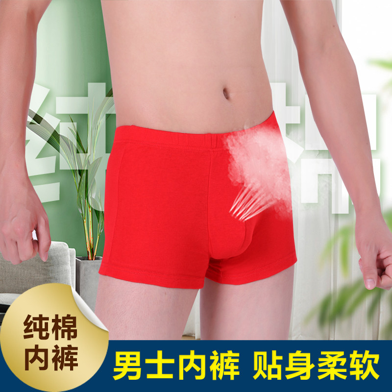 珍瑞缇本命年男士红内裤男大红色平角四角裤结婚新婚大码纯棉短裤