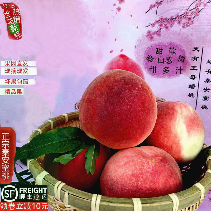 秦安水蜜桃 新鲜水果 现摘桃子应季仓方枣脆甜精选大果礼盒装天水
