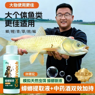 许师兄蟑螂新液模拟天然虫饵蟑螂提取液加中草酒双效适口性强野钓