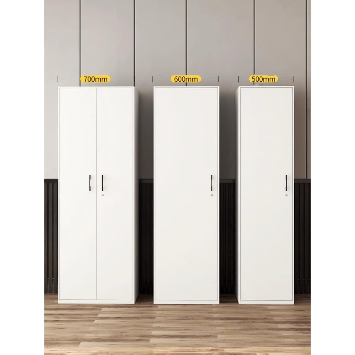 小户型衣柜阳台柜钢制家用单门收纳柜储物柜置物柜窄衣柜带锁50cm