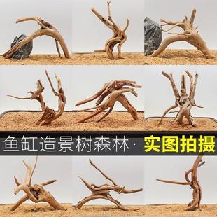 鱼缸造景杜鹃根沉木造景树根栖根枝蛇攀爬树枝树蛙攀爬木内饰爆款