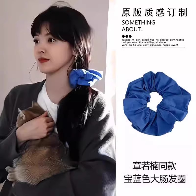 章若楠温以凡同款大肠发圈女2025新款高级感蓝色扎头发绳头绳发饰