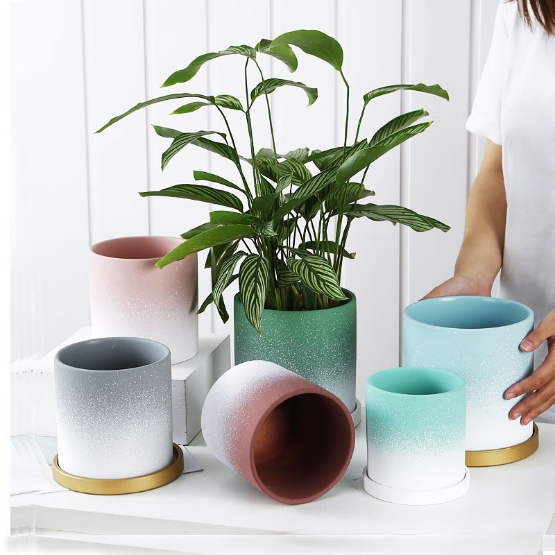 创意个性花盆陶瓷北欧简约仙人掌多肉植物绿萝家用带托盘大号盆栽,鲜花速递/花卉仿真/绿植园艺,花盆,淘宝优惠券,粉丝福利购,淘宝优惠卷