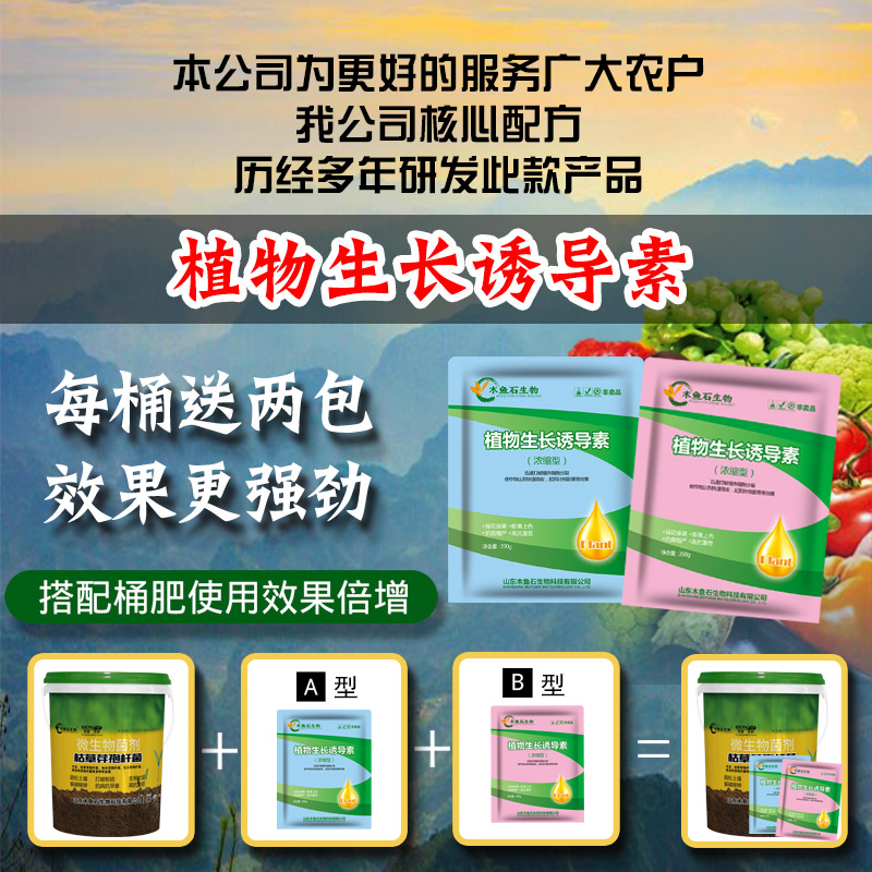 木鱼石水溶肥枯草芽孢菌杆菌生根壮苗枯黄萎白粉专用桶装肥冲施肥