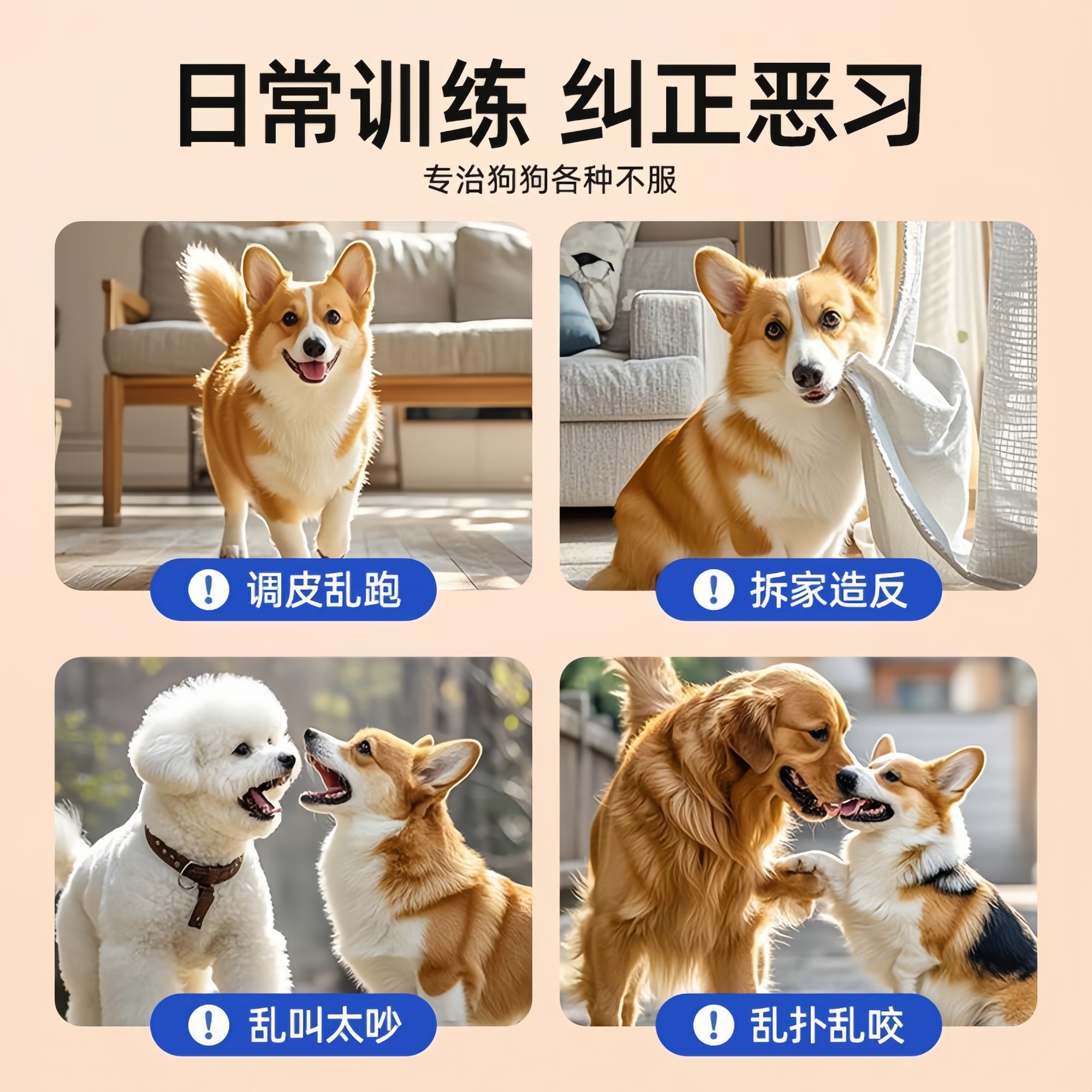 新款训狗神器狗狗纠错拍爱心拍猫咪训练宠物拍屁股训导工具实用