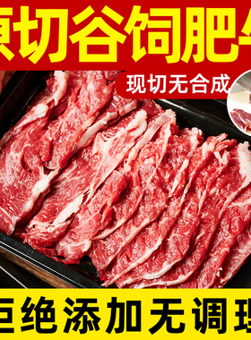 肥牛卷原切牛肉卷雪花肥牛片盒装火锅菜品食材牛肉片套餐牛肉商用