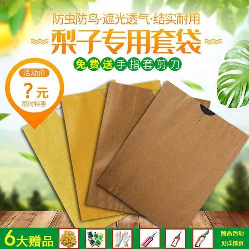 梨子套袋专用袋黄金梨秋月梨