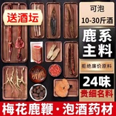 十全大补泡酒药材鹿茸梅花鹿鞭干肾补阳泡酒 药材男士 专用泡酒料